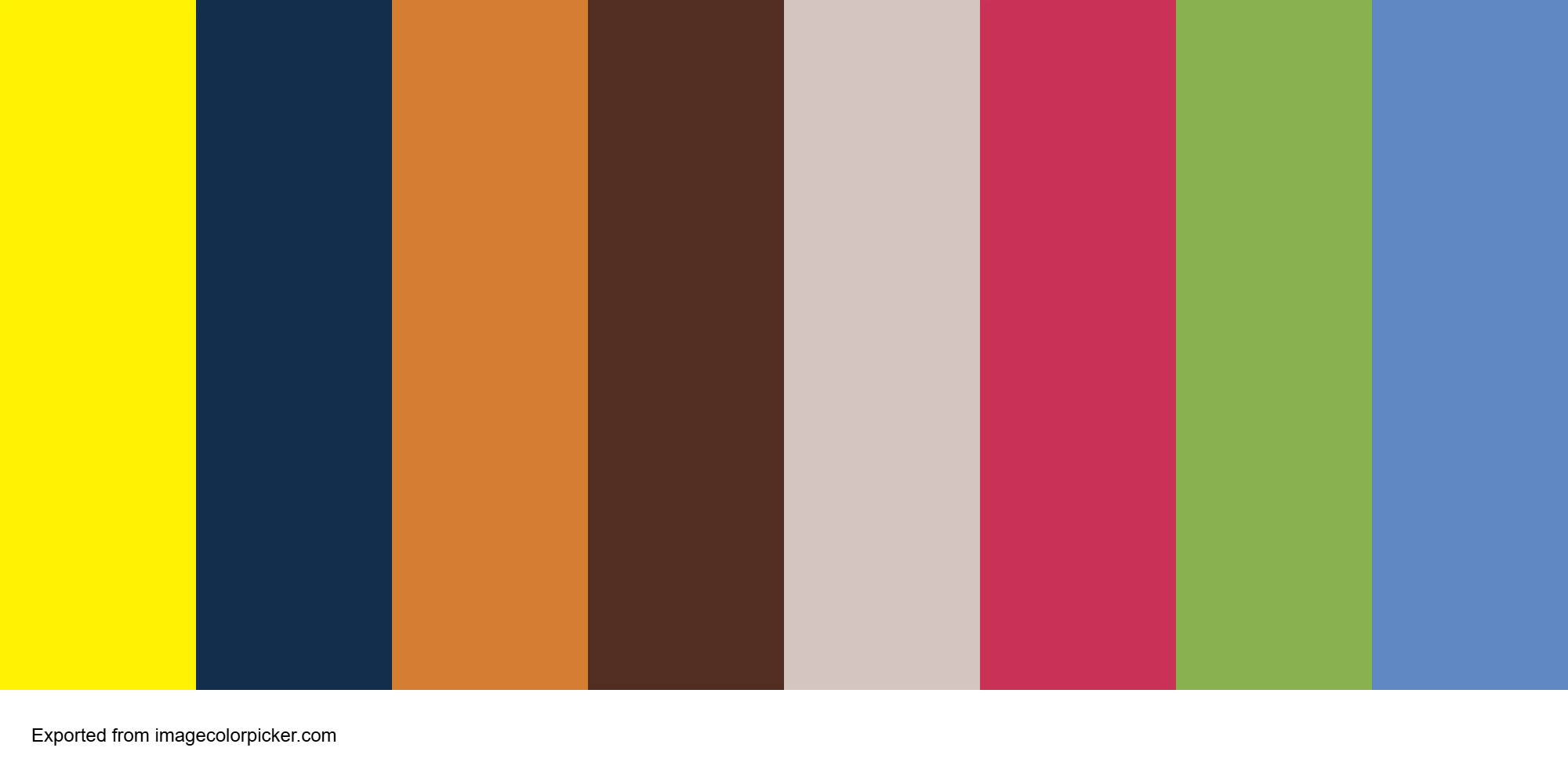 Color Palette: Vibrancy and National Pride